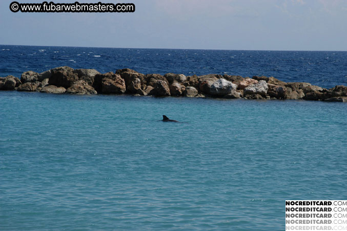 Encounter the Dolphins 2003