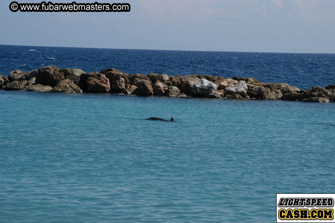 Encounter the Dolphins 2003