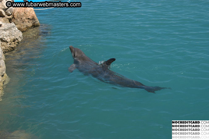 Encounter the Dolphins 2003