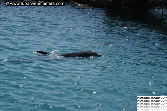 Encounter the Dolphins 2003