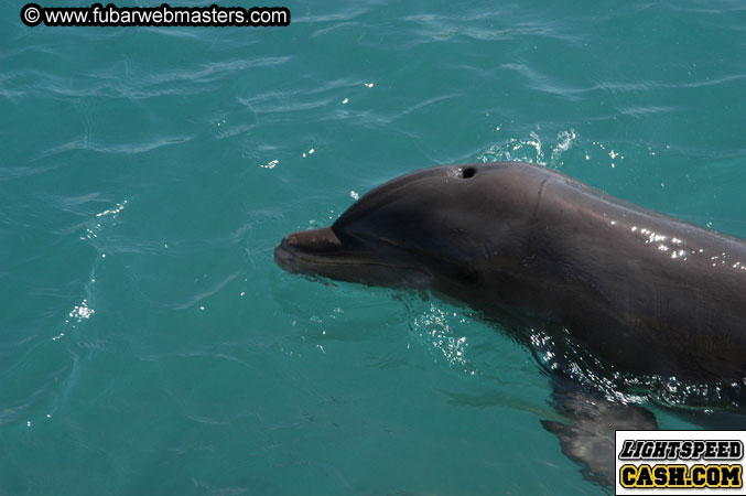 Encounter the Dolphins 2003