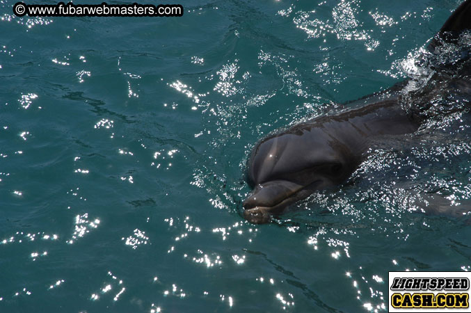 Encounter the Dolphins 2003