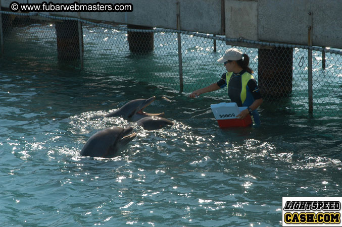 Encounter the Dolphins 2003