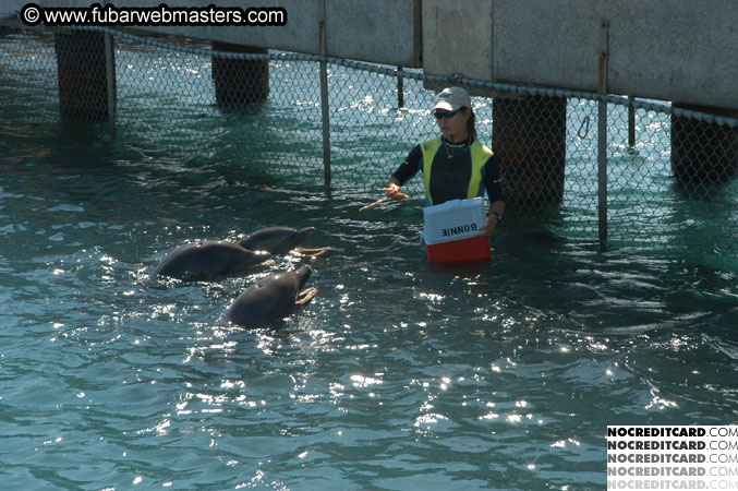 Encounter the Dolphins 2003