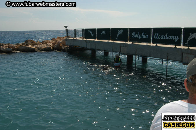 Encounter the Dolphins 2003