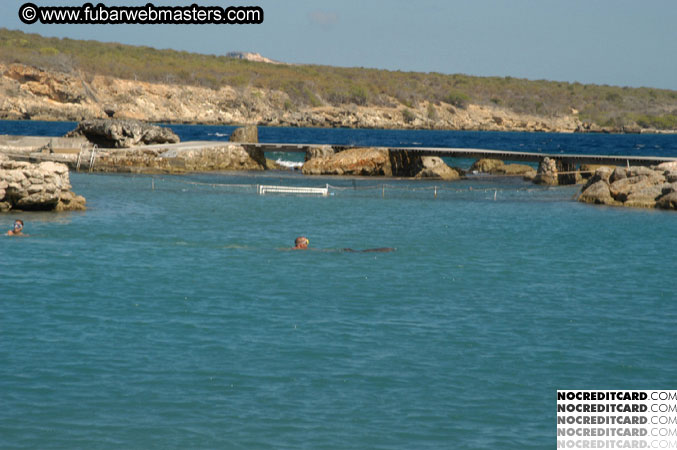 Encounter the Dolphins 2003