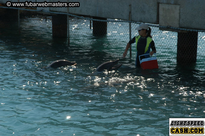 Encounter the Dolphins 2003