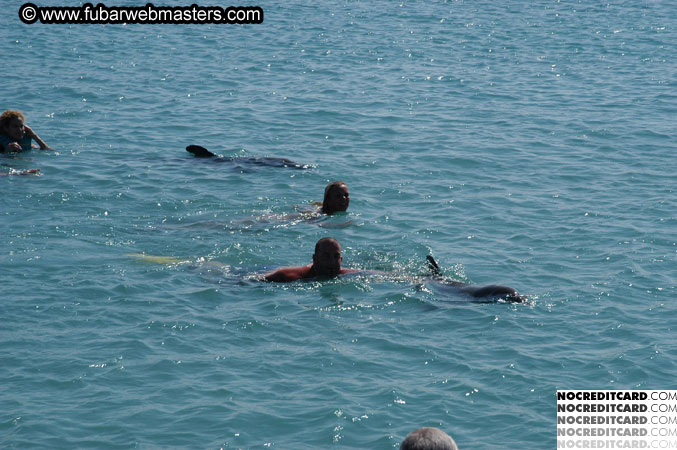 Encounter the Dolphins 2003