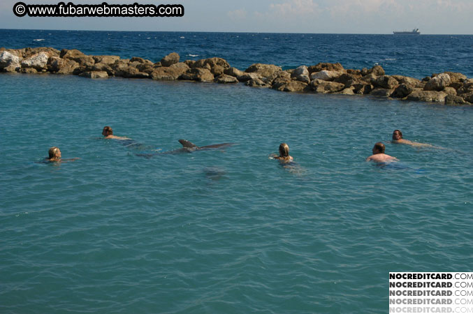 Encounter the Dolphins 2003