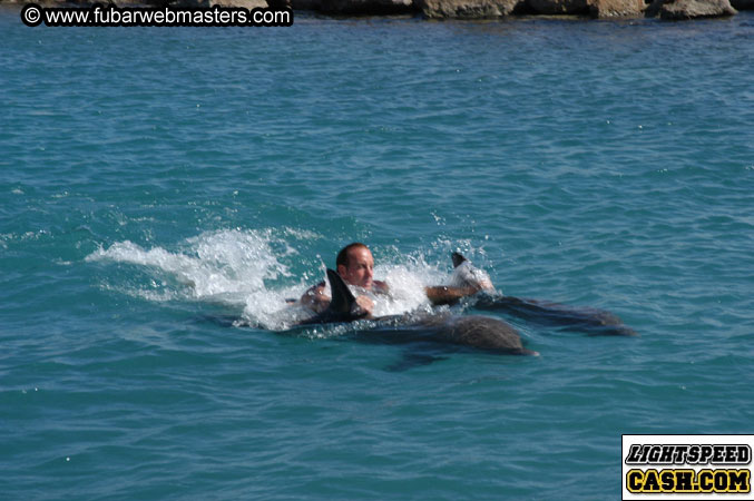 Encounter the Dolphins 2003