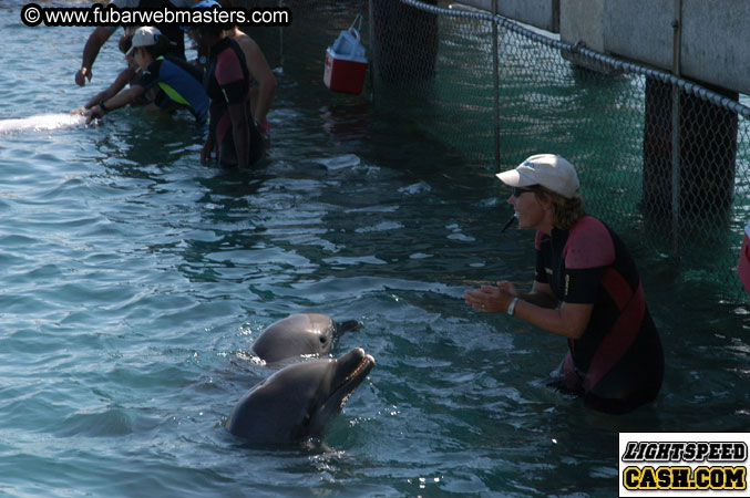 Encounter the Dolphins 2003