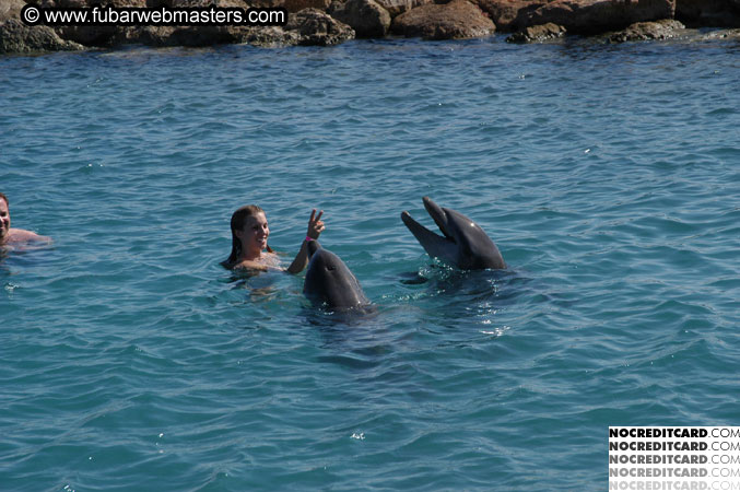 Encounter the Dolphins 2003