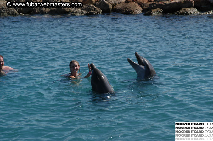 Encounter the Dolphins 2003