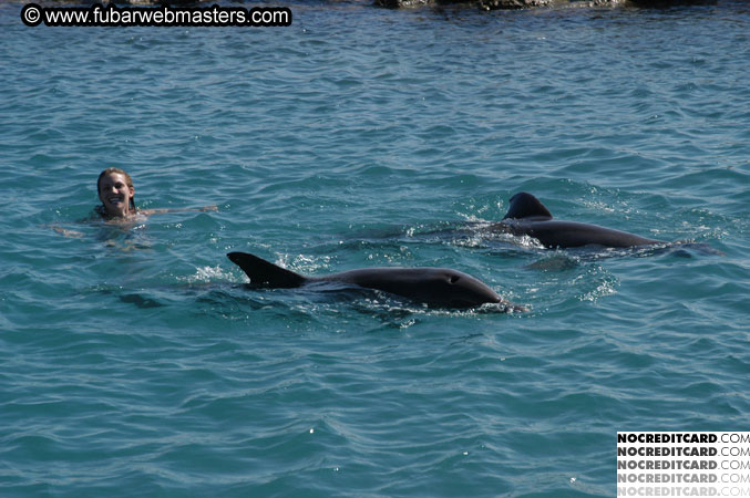 Encounter the Dolphins 2003