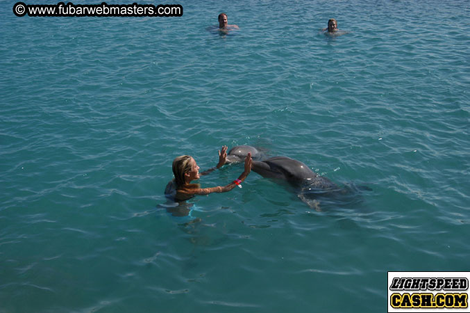 Encounter the Dolphins 2003