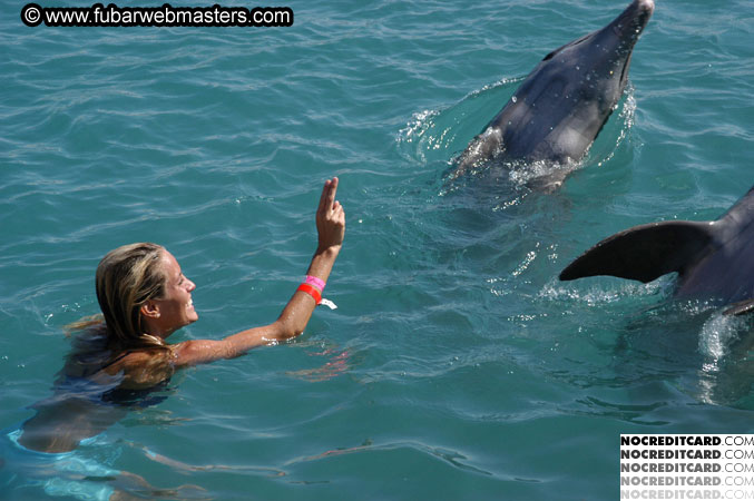 Encounter the Dolphins 2003