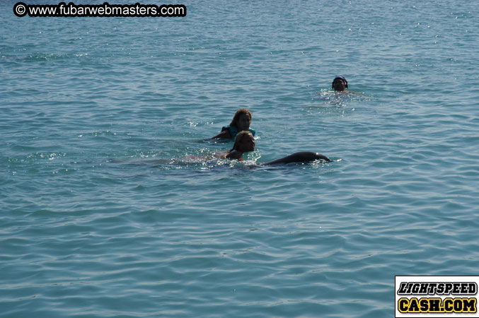 Encounter the Dolphins 2003