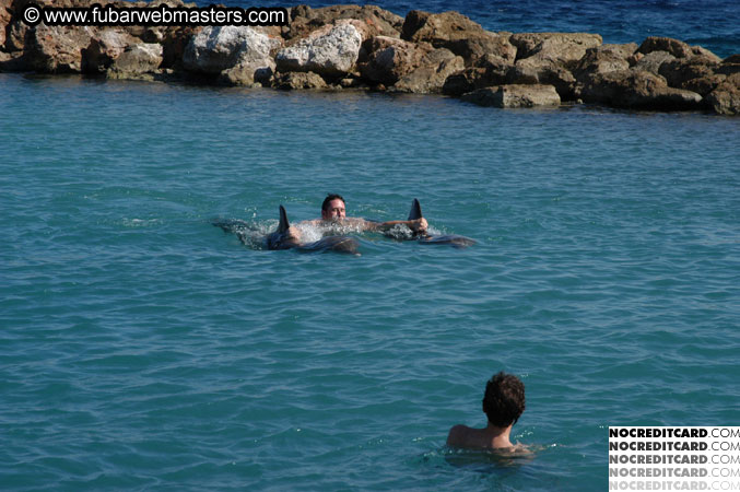 Encounter the Dolphins 2003