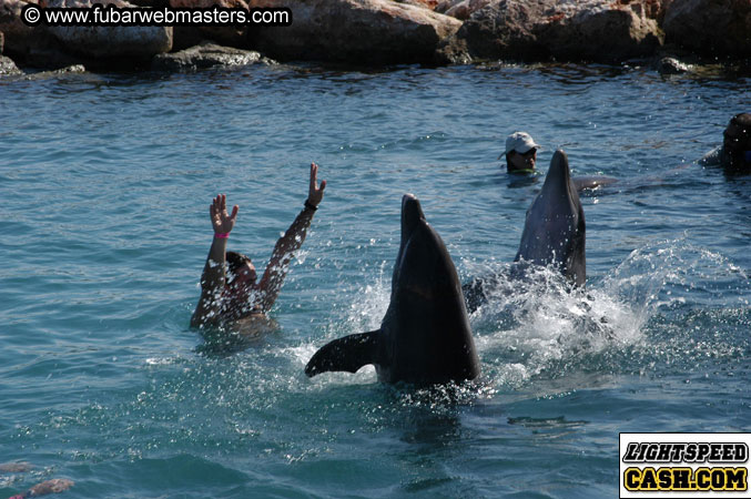 Encounter the Dolphins 2003