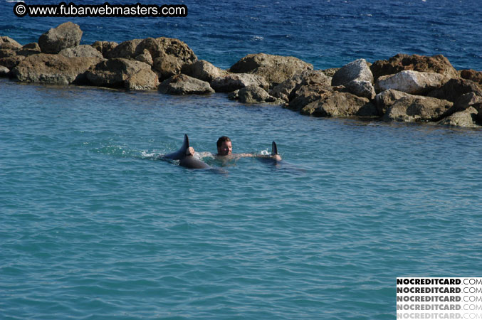 Encounter the Dolphins 2003