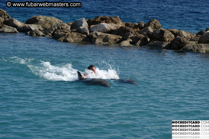 Encounter the Dolphins 2003