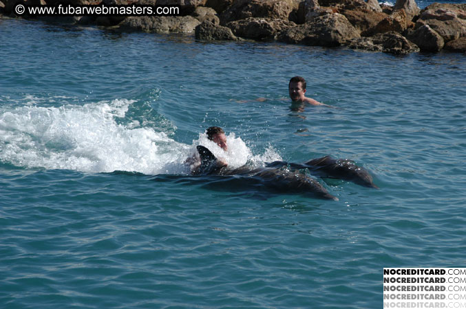 Encounter the Dolphins 2003