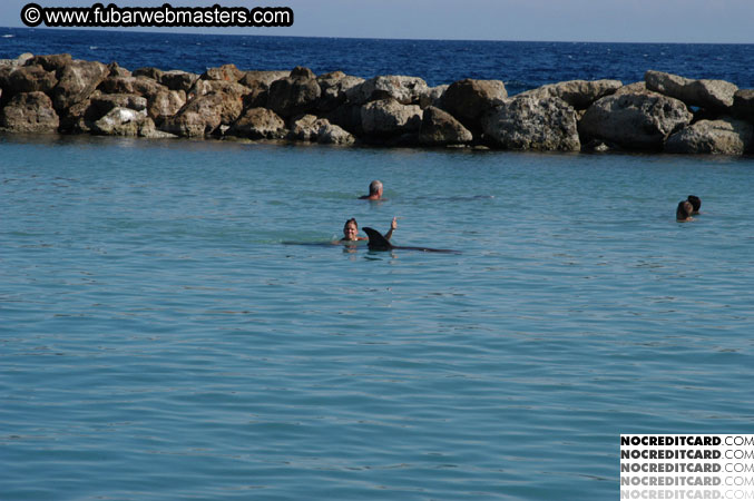 Encounter the Dolphins 2003