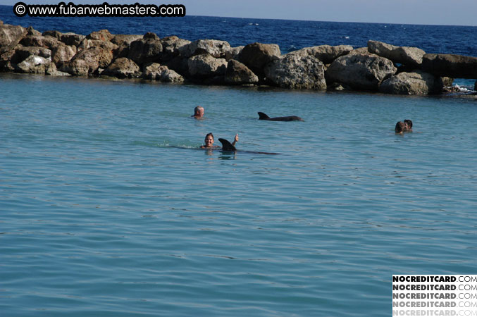 Encounter the Dolphins 2003