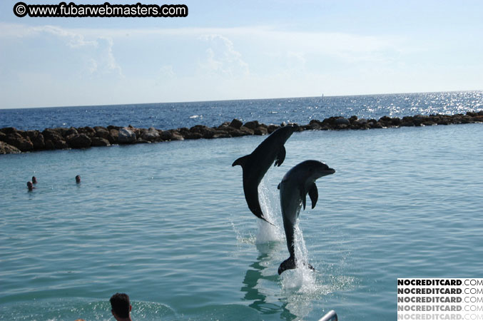 Encounter the Dolphins 2003