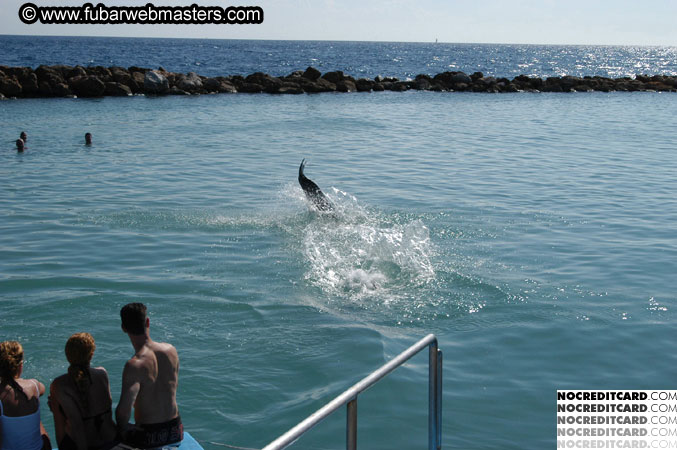 Encounter the Dolphins 2003