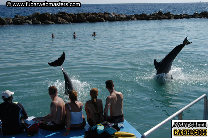 Encounter the Dolphins 2003