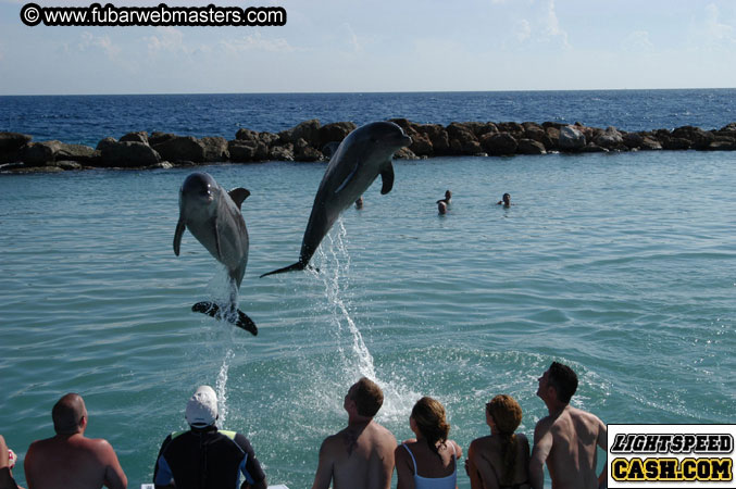 Encounter the Dolphins 2003