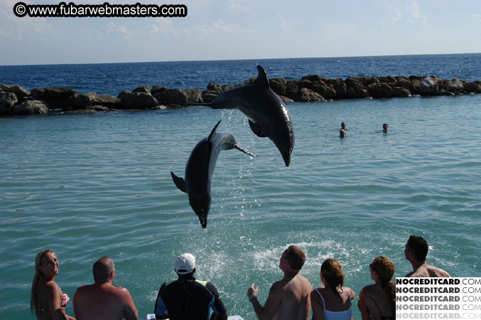 Encounter the Dolphins 2003