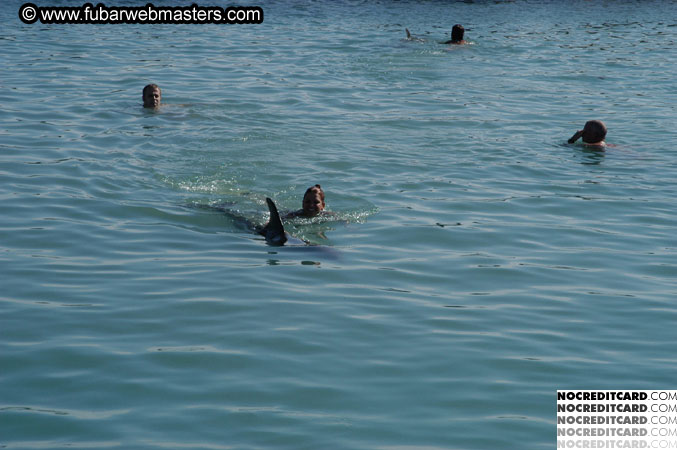 Encounter the Dolphins 2003