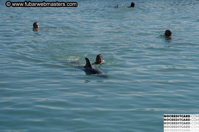 Encounter the Dolphins 2003