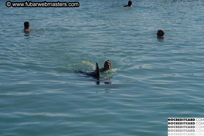 Encounter the Dolphins 2003