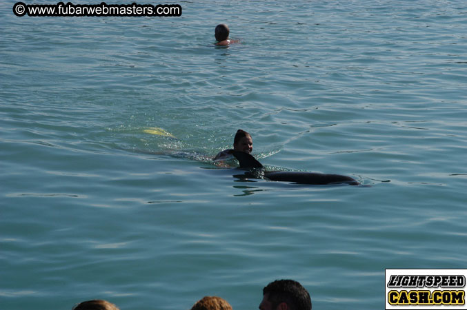 Encounter the Dolphins 2003