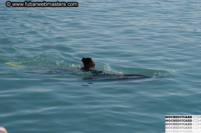 Encounter the Dolphins 2003