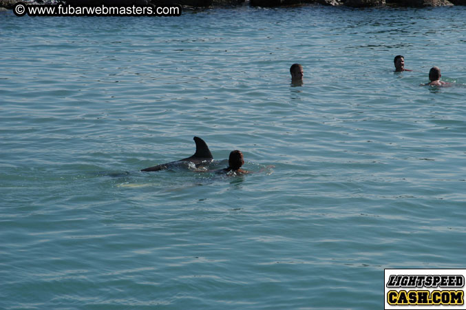 Encounter the Dolphins 2003