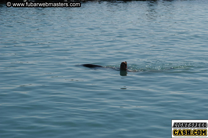 Encounter the Dolphins 2003