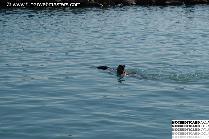 Encounter the Dolphins 2003