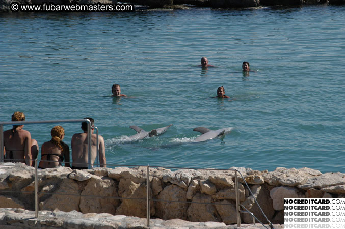 Encounter the Dolphins 2003