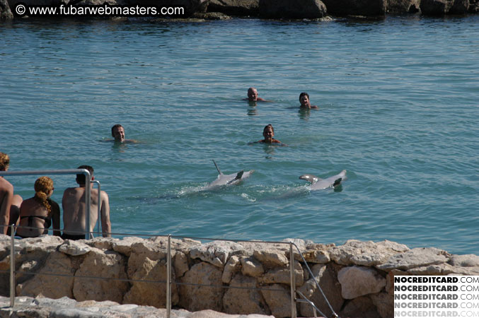 Encounter the Dolphins 2003