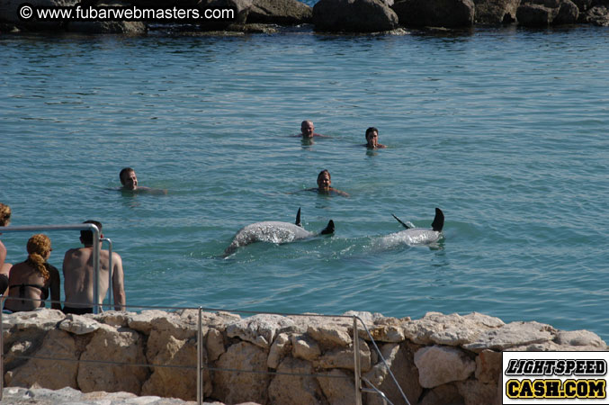 Encounter the Dolphins 2003