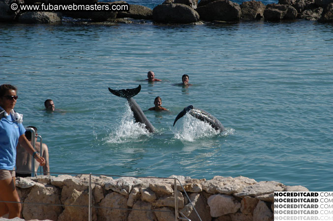 Encounter the Dolphins 2003