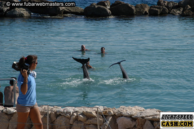 Encounter the Dolphins 2003