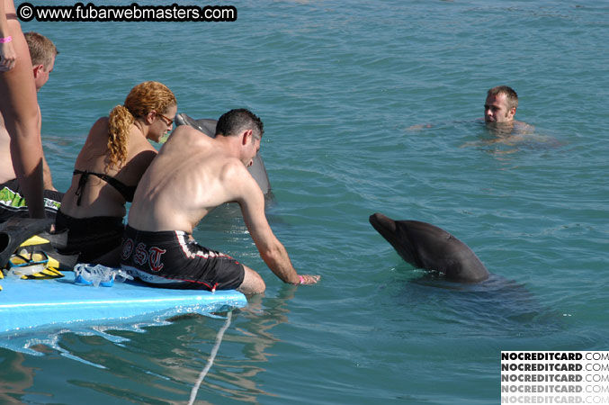 Encounter the Dolphins 2003