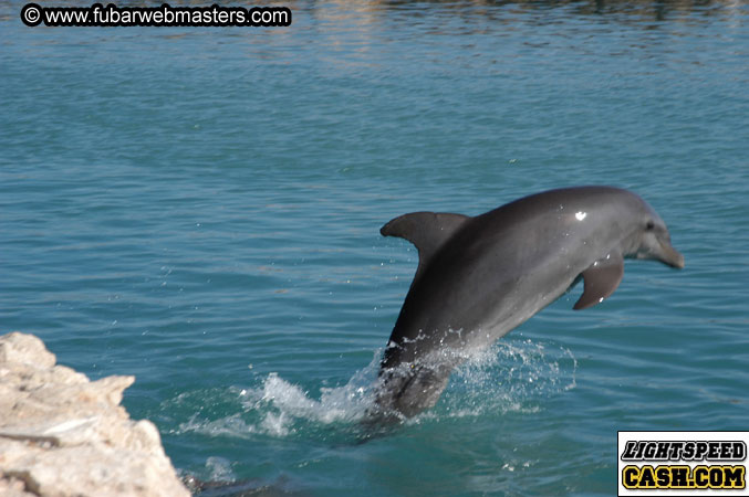 Encounter the Dolphins 2003