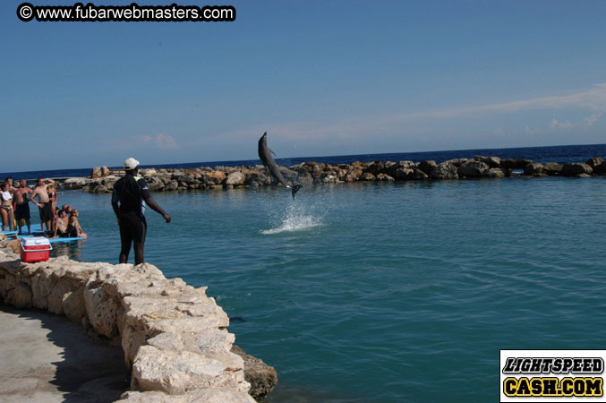 Encounter the Dolphins 2003