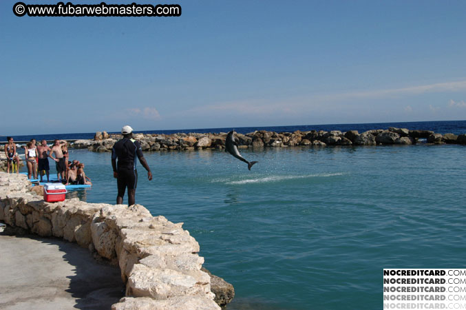 Encounter the Dolphins 2003